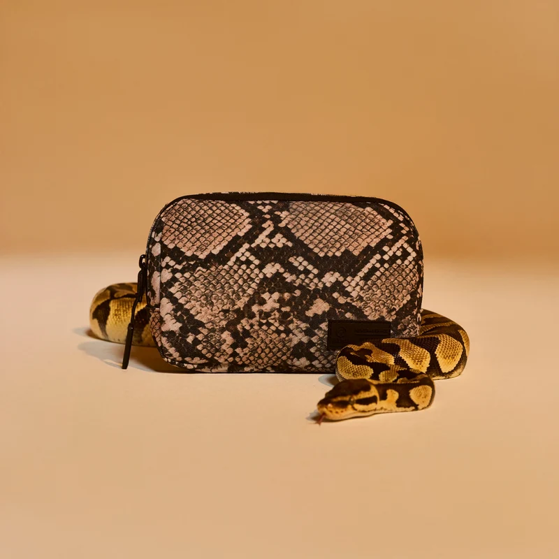 🎁 Crossbody Pack Python (100% off)