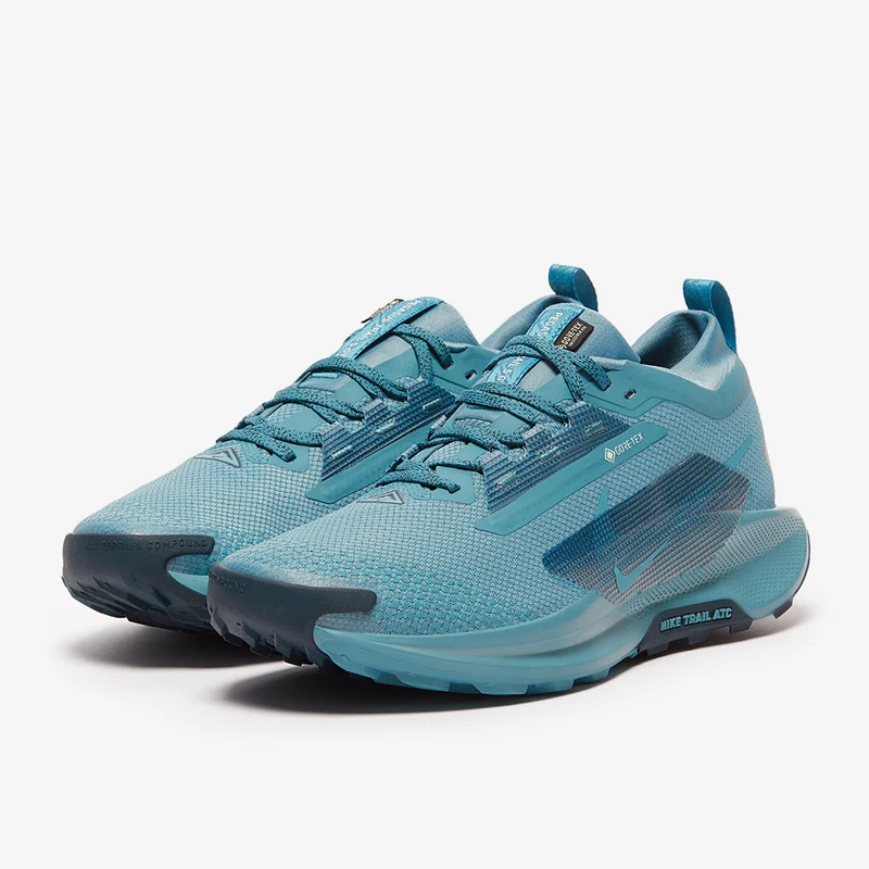 Nike Pegasus Trail 5 GORE-TEX