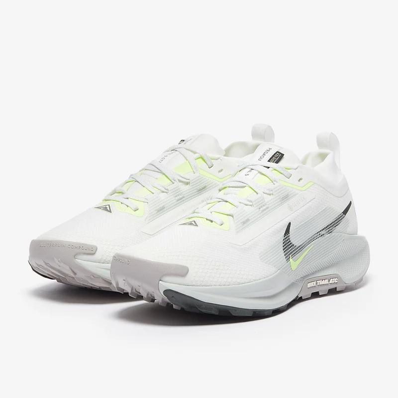 Nike Pegasus Trail 5 GORE-TEX
