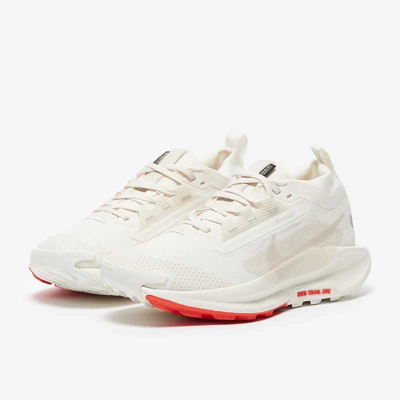 Nike Pegasus Trail 5 GORE-TEX para mujer