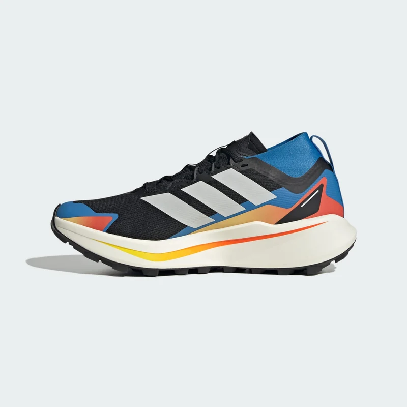 adidas Men, Unisex Terrex Agravic GTX Trail Running Shoes