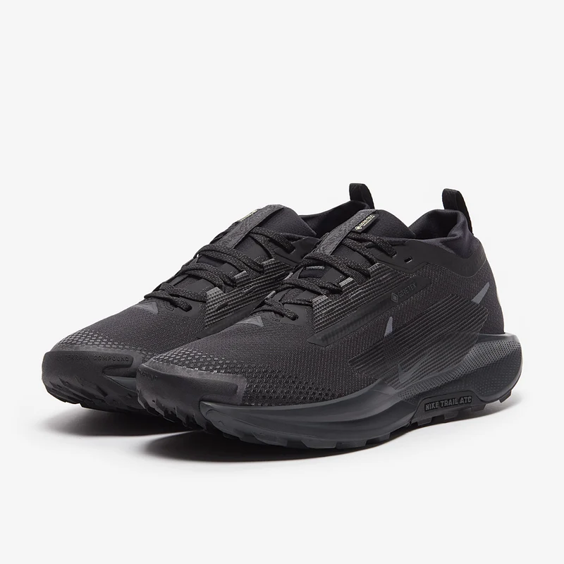 Nike Pegasus Trail 5 GORE-TEX