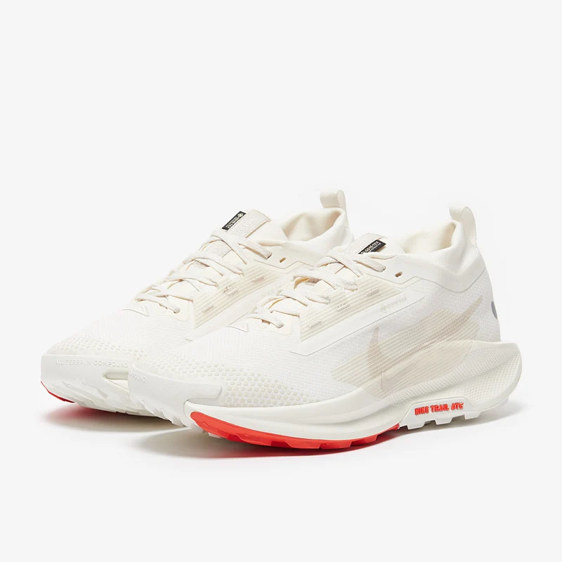 Nike Pegasus Trail 5 GORE-TEX